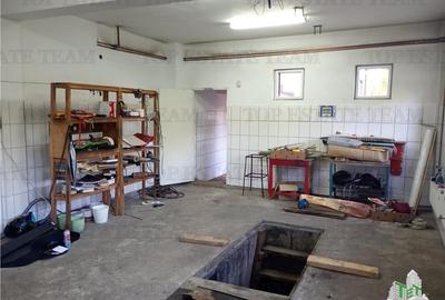 Vila deosebita de inchiriat, Brancoveanu  Luica, curte generoasa. Ideala pentru - 6