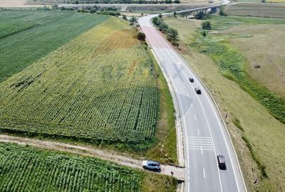 Teren 3,500mp Ilisesti / Strada Principala - 2
