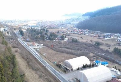 Teren de 8444 mp, în Timișu de Jos - 2