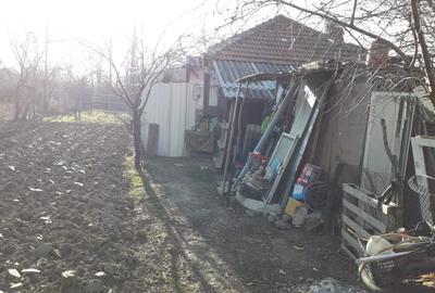 2 corpuri de casa 125 mp construiti + 1587 mp teten intravilan ! - 11