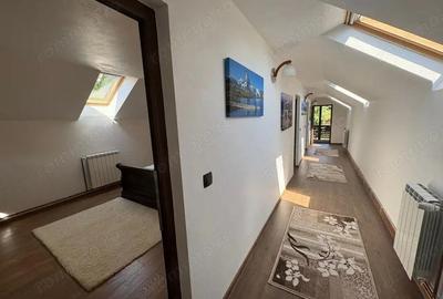 *Domeniu* cu poten?ial turistic - casa de vis, livada ?i vie - Bumbe?ti-Jiu - 1