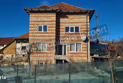 Casă cu 3 camere cu Teren 3877 Mp în Valea Danului - 16