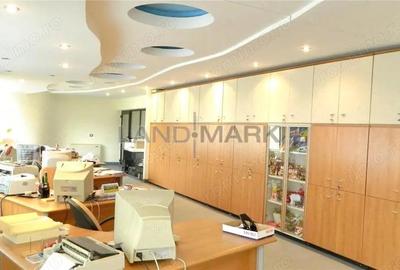 Hala industriala, 1600 mp cu teren 6500 mp , Timisoara Nord Vest - 3