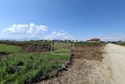 Terenuri Intravilane  Harman - 4