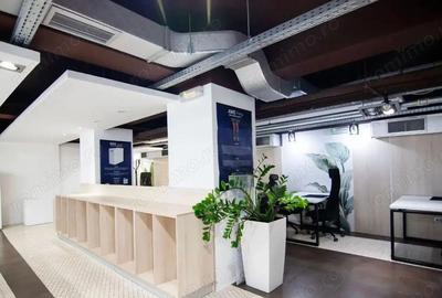 Spațiu comercial, de 715 mp, în Kiseleff - 10