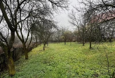 Casă cu 3 camere cu Teren 1114 Mp în Vechea - 2