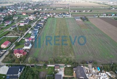 Teren de 5000 mp, în Bogdan Vodă - 5