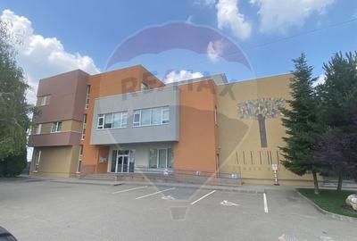 DE VANZARE Teren intravilan 600mp Drumul Piscul Mosului SISESTI - 8