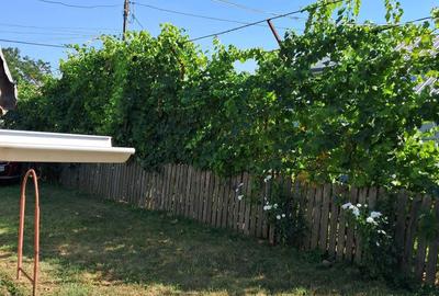 Casă cu 3 camere în Boboc - 7