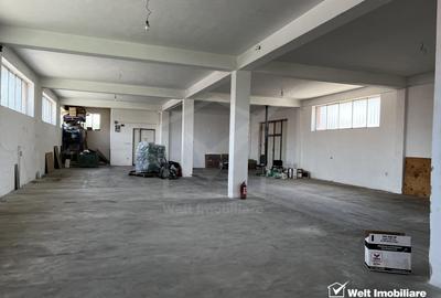 Showroom cu depozit, acces TIR, str Plevnei zona Sanex - 3