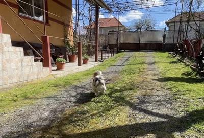 Vand casa urgent ! - 5