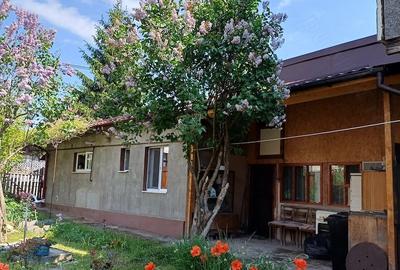 Casă cu Teren 321 Mp în Între Lacuri - 3