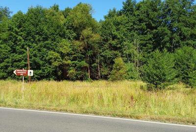 TEREN INTRAVILAN IN MARGA-LA DN68 JUD.CARA?-SEVERIN - 3