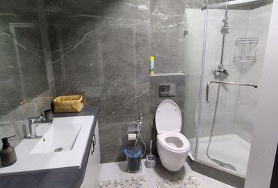 Apartament cu 2 camere in zona Bucovina - 5