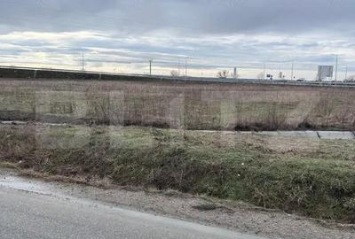 Teren de 16000 mp, în Giroc - 4