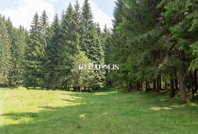 Pretabil Hotel,Pensiune,Case de Vacanta/Utilitati/PUZ - 19