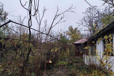 Casa batraneasca plus teren 1600mp Toporu jud. Giurgiu - 11