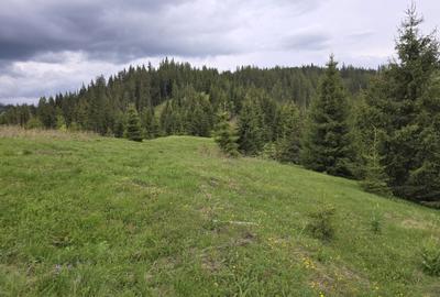 Spațiu comercial, în Dârmoxa - 4