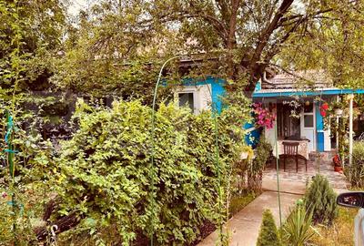 Casa batraneasca de vanzare, cu anexe, 2900 mp teren, zona Pausesti - 3