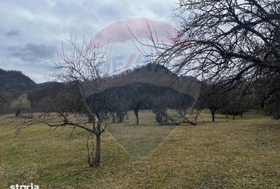 Teren de 12458 mp, în Meteș - 5