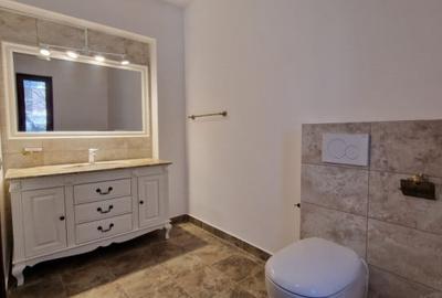 De Vanzare! Vila (D+P+1E+M) in zona Iancu Nicolae (Liceul ''Mark Twain'') - 17