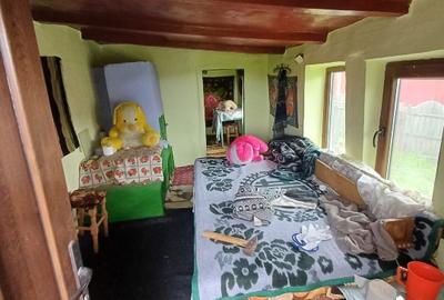 Casă cu 4 camere cu Teren 10000 Mp în Tulești - 15