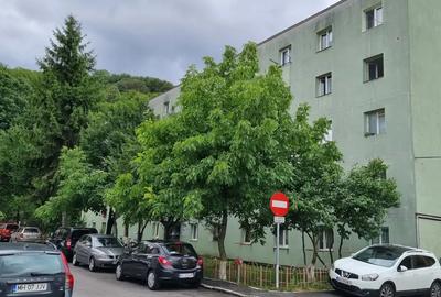 Apartament 1 camera - 2