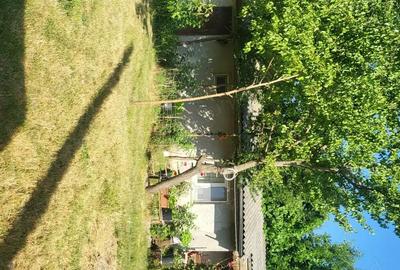 Casă cu 3 camere în Albina - 3