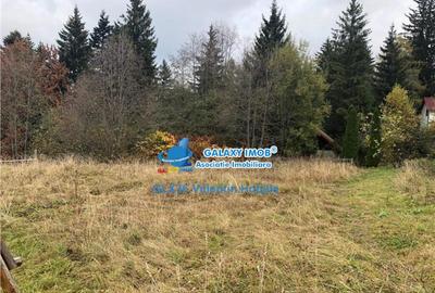 Teren 850 mp Predeal Cioplea - Belvedere - 3