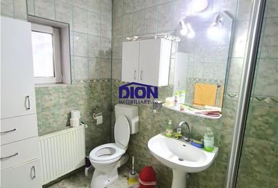 Vila cu Brazi - Uranus, 406mp teren - 12