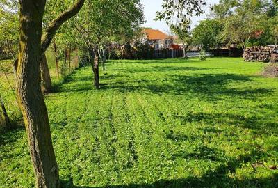 Casă cu 4 camere în Orțișoara - 2