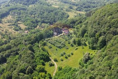 Casă cu 10 camere cu Teren 24700 Mp în Berchez - 12