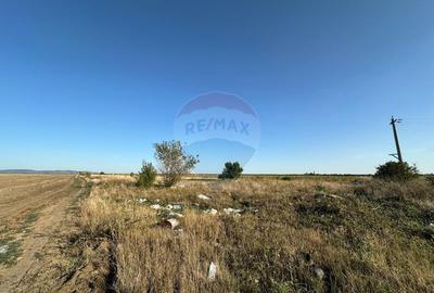 Teren extravilan de vanzare - 19.963 mp, E68 Mandruloc-Vladimirescu - 4