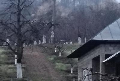 Casă cu 3 camere cu Teren 2800 Mp în Central - 15