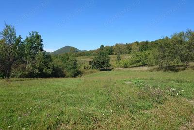 Teren de 8757 mp, în Luncoiu de Sus - 1