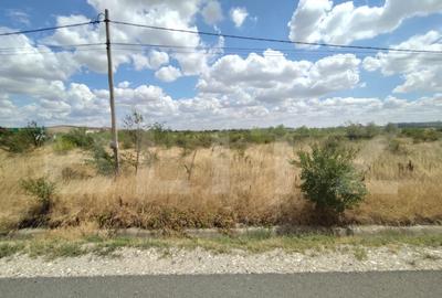 Teren intravilan, 4905 mp, zona Aeroport, la centura de Nord - 6