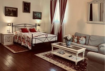 Park Villa Boutique Hotel 4* Zona istorica Timisoara - 2