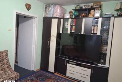 Apartament cu 2 camere semidecomandat în Podu Roș - 6