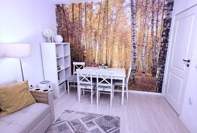 Apartament cu 2 camere decomandat, mobilat în Păcurari - 3