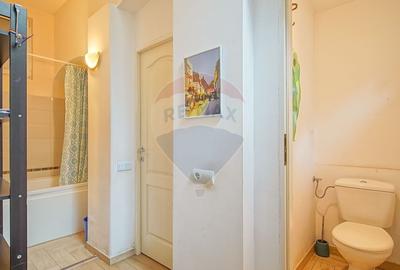 Apartament cu 3 camere de inchiriat in zona Centrul Istoric - 10