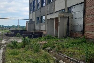 Activ de vanzare la 10 Km de Municipiul Braila ,3 Km de Dunare - 7