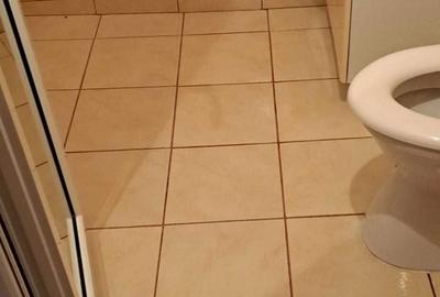 Apartament cu 2 camere decomandat în Radu Negru - 5