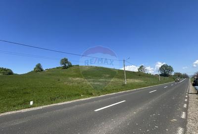 Teren 7,430mp Copalnic / Strada principala - 5