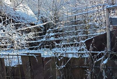 Casa batraneasca - 6