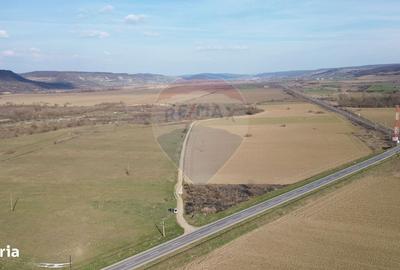 Spațiu comercial, în Laslea - 5