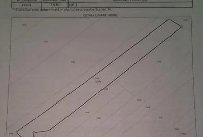 Teren de 7630 mp, în Frumușani - 5