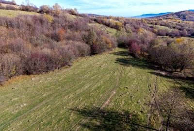 Teren Construcții intravilan de 2500 mp, în Tohănița - 14