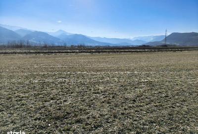 Teren de 2800 mp, în Turnu Roșu - 11