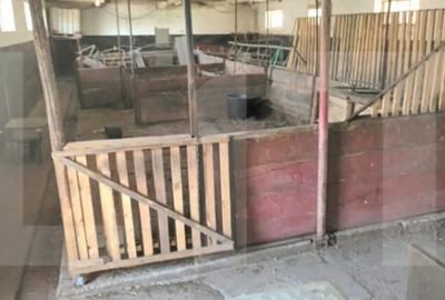 Casă cu 4 camere cu Teren 5500 Mp în Central - 2