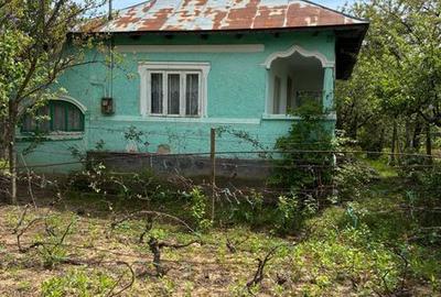 Casă cu 4 camere cu Teren 100 Mp în Plopu - 3